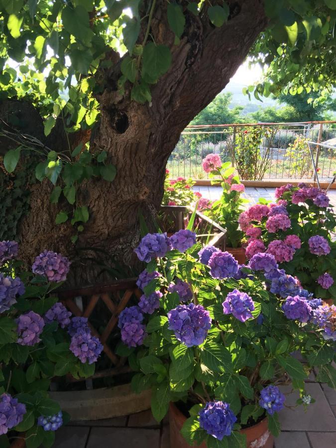La Casa Sul Golfo Bed & Breakfast Ancona Luaran gambar
